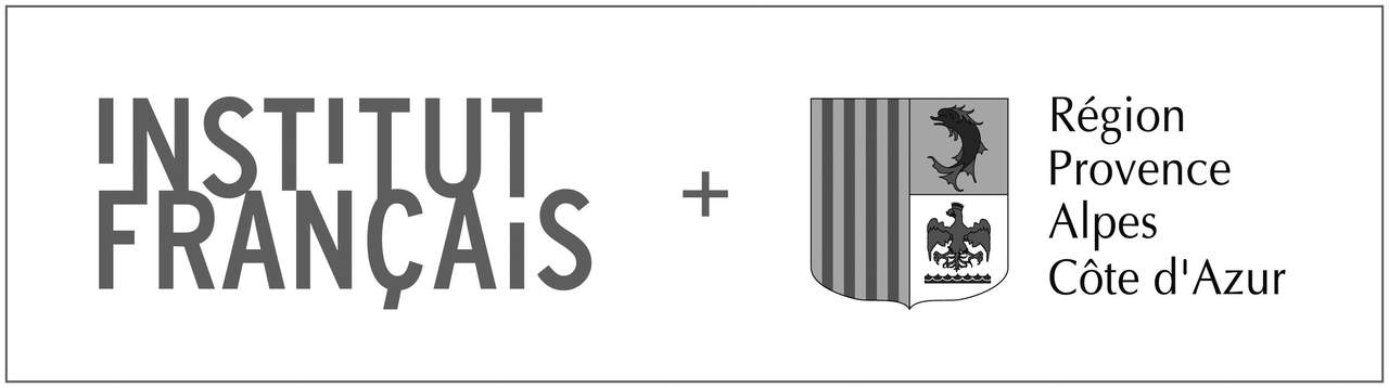 Institut français